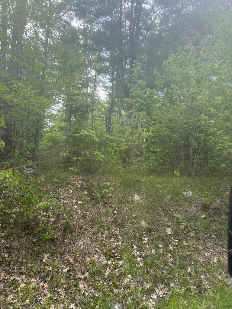 Lot 2 Morse District Road Road N Steuben ME 04680