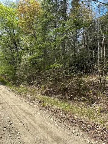 Lot 2 Morse District Road Road N Steuben ME 04680