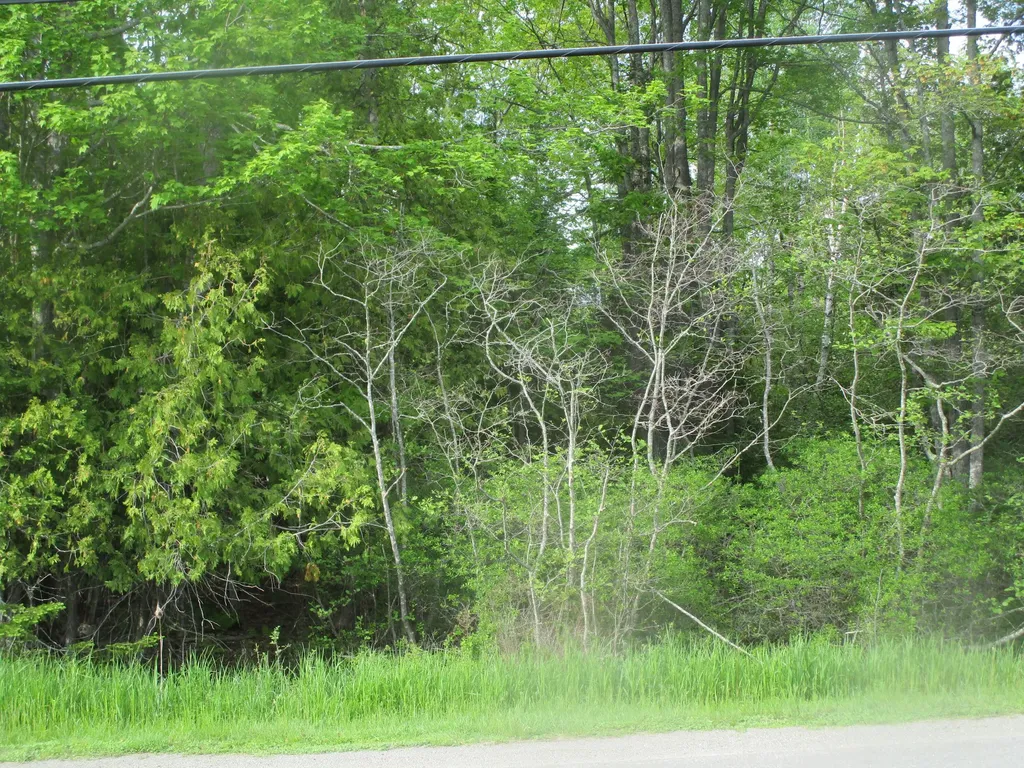 Lot 098-e Center Drive Orrington ME 04474