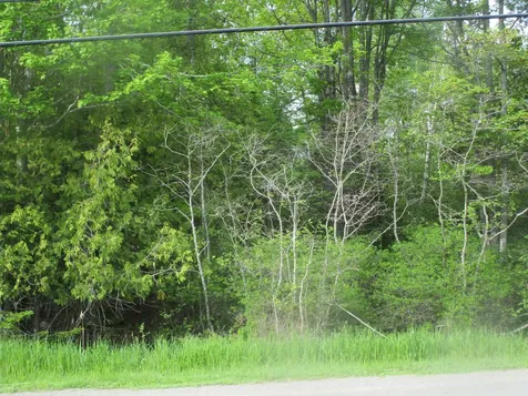 Lot 098-e Center Drive Orrington ME 04474