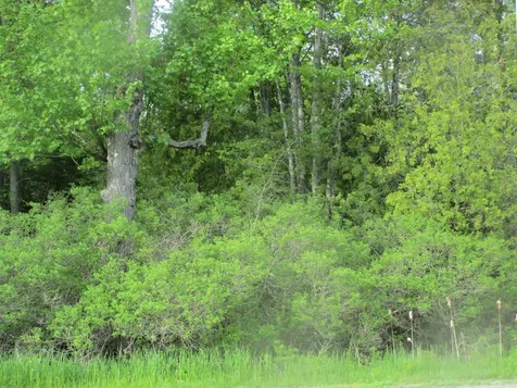 Lot 098-e Center Drive Orrington ME 04474