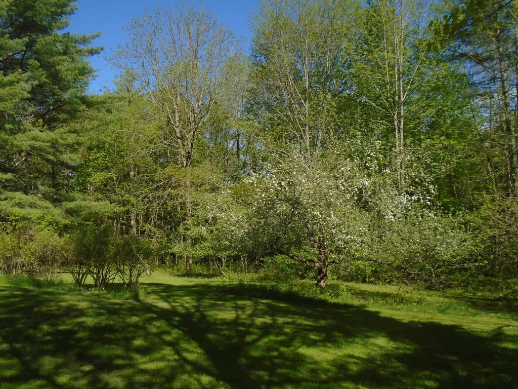 240 Ohio Hill Road Fairfield ME 04937
