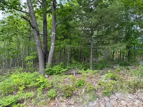 534 Whitefield Road Pittston ME 04345