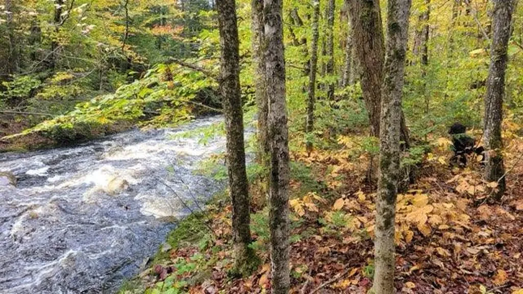 0 Lawrence Road Wellington ME 04942