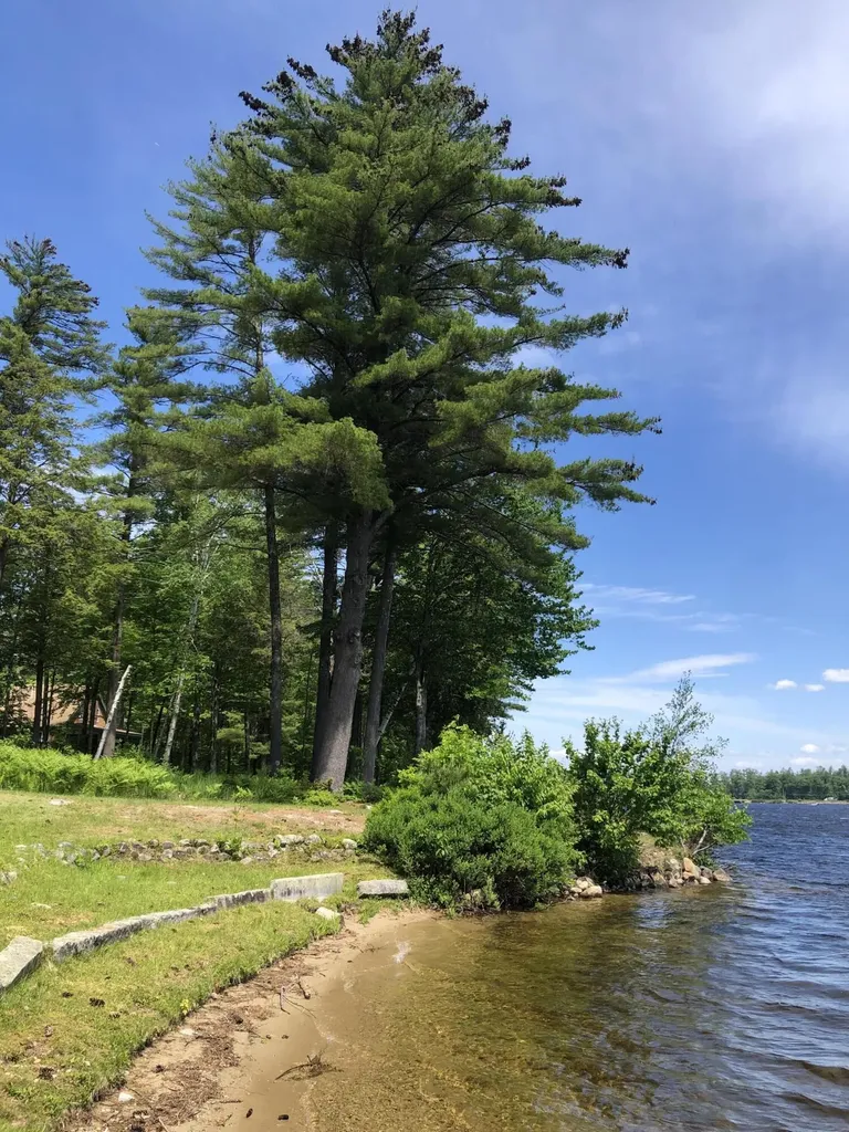 16 Millers Way Bridgton ME 04009
