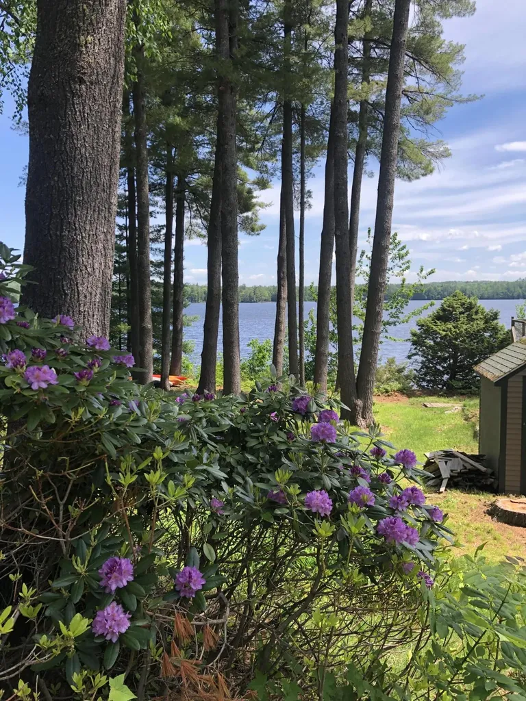 16 Millers Way Bridgton ME 04009