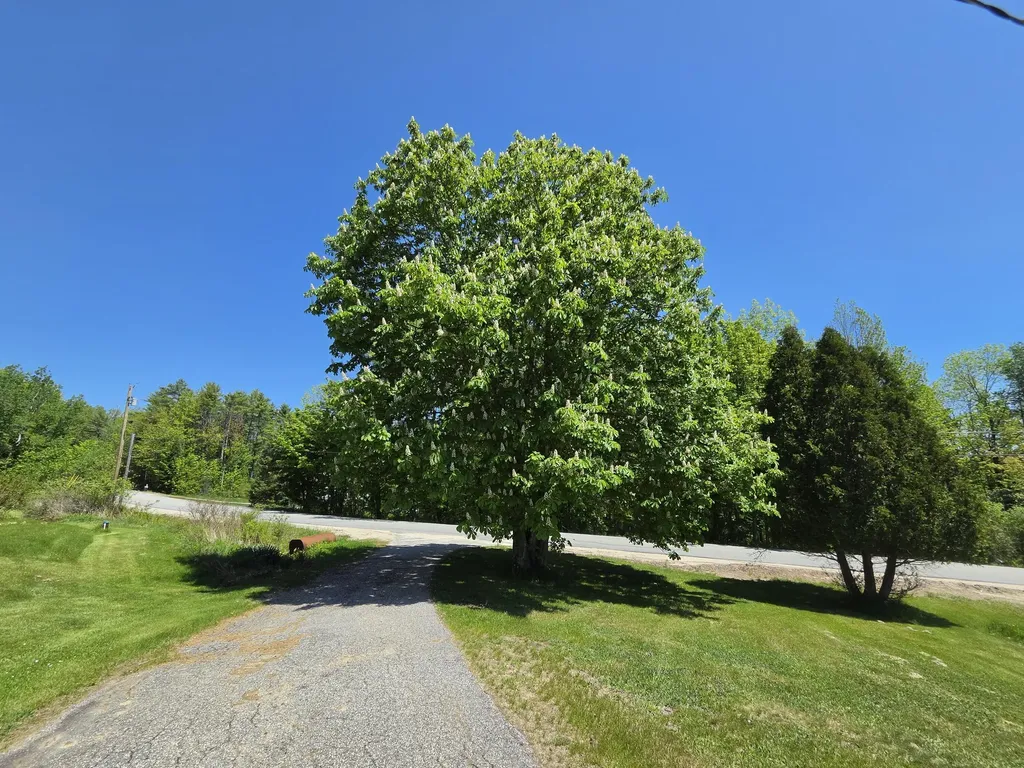 842 Brighton Hill Road Minot ME 04258