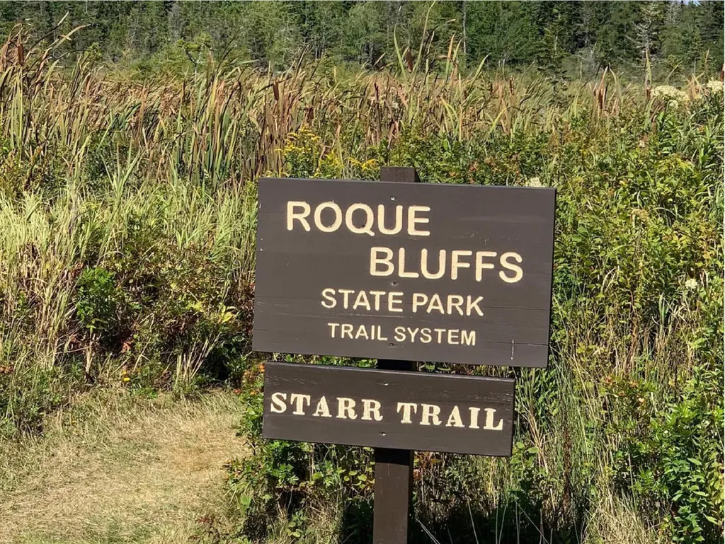 Lot 14 Pineo Road Roque Bluffs ME 04654