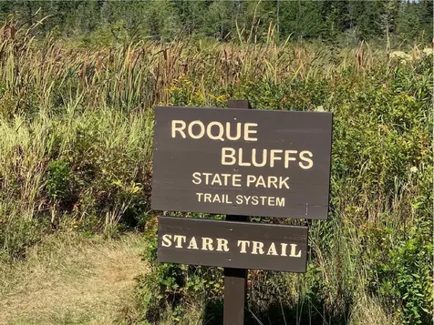 Lot 14 Pineo Road Roque Bluffs ME 04654