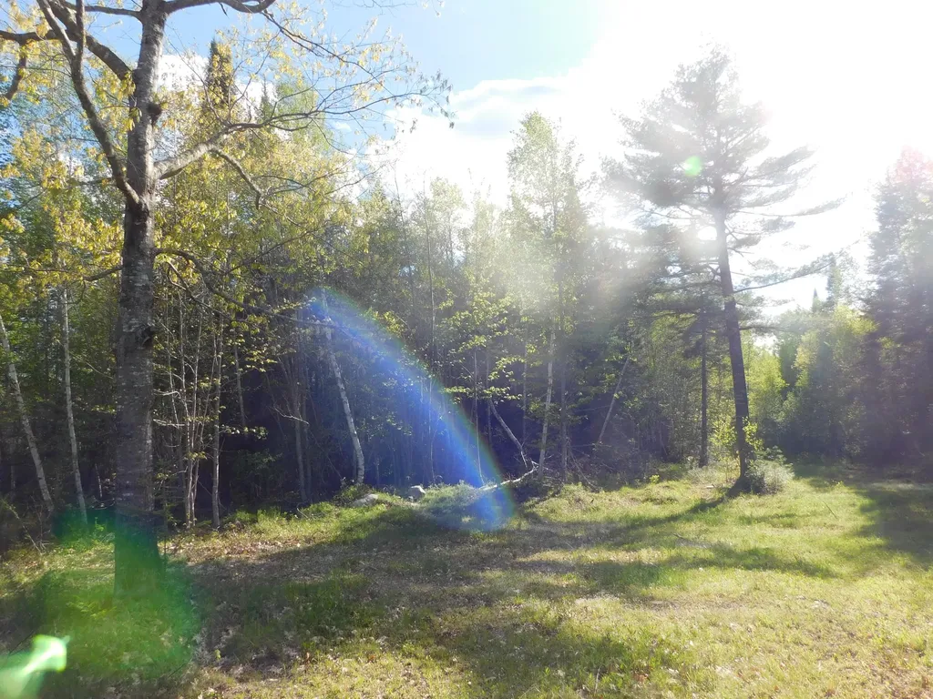 143 Fogg Brook Lowell ME 04493