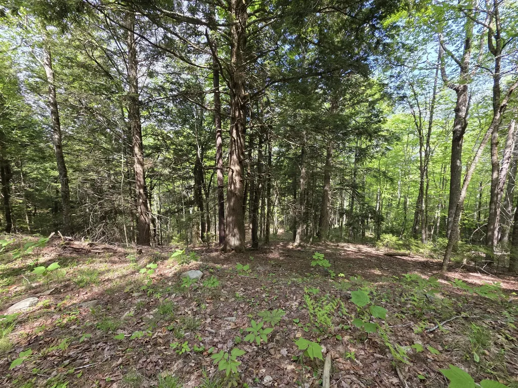 0 Morrison Road Bucksport ME 04416