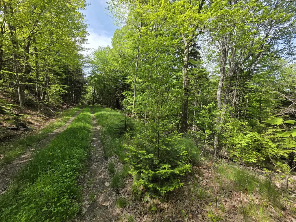 0 Morrison Road Bucksport ME 04416