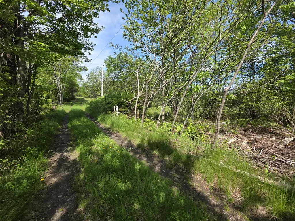 0 Morrison Road Bucksport ME 04416