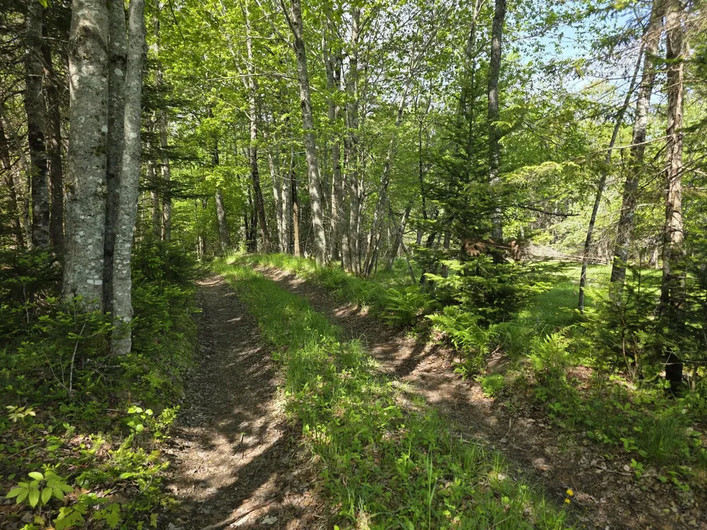 0 Morrison Road Bucksport ME 04416