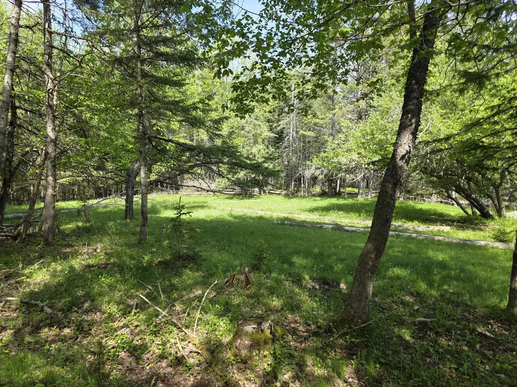 0 Morrison Road Bucksport ME 04416