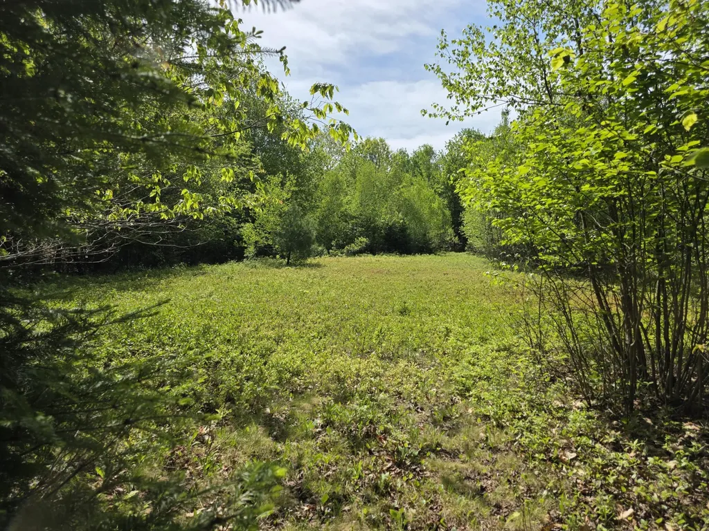 0 Morrison Road Bucksport ME 04416