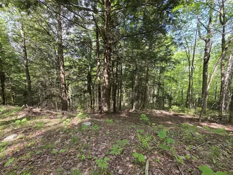 0 Morrison Road Bucksport ME 04416