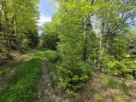 0 Morrison Road Bucksport ME 04416