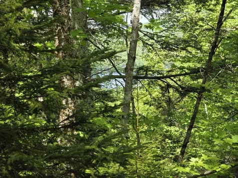 0 Morrison Road Bucksport ME 04416