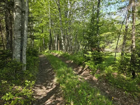0 Morrison Road Bucksport ME 04416