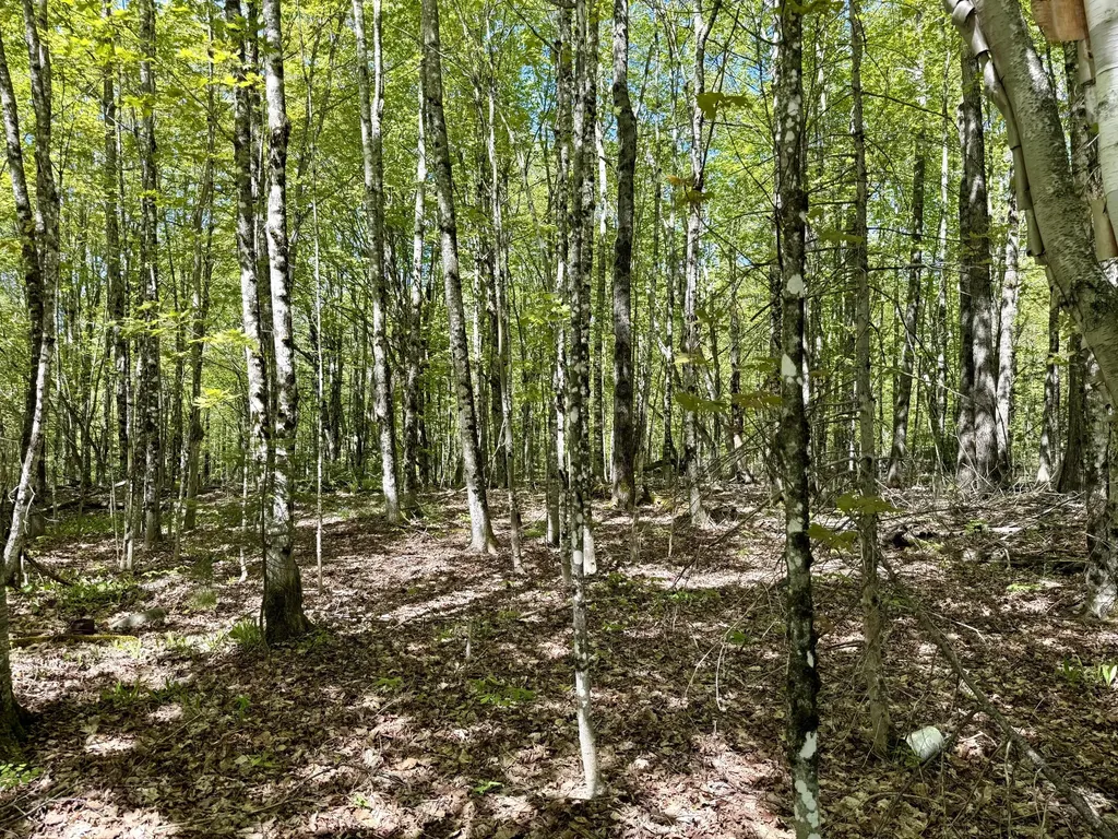 LOT34I Scammon Road Greenville ME 04441