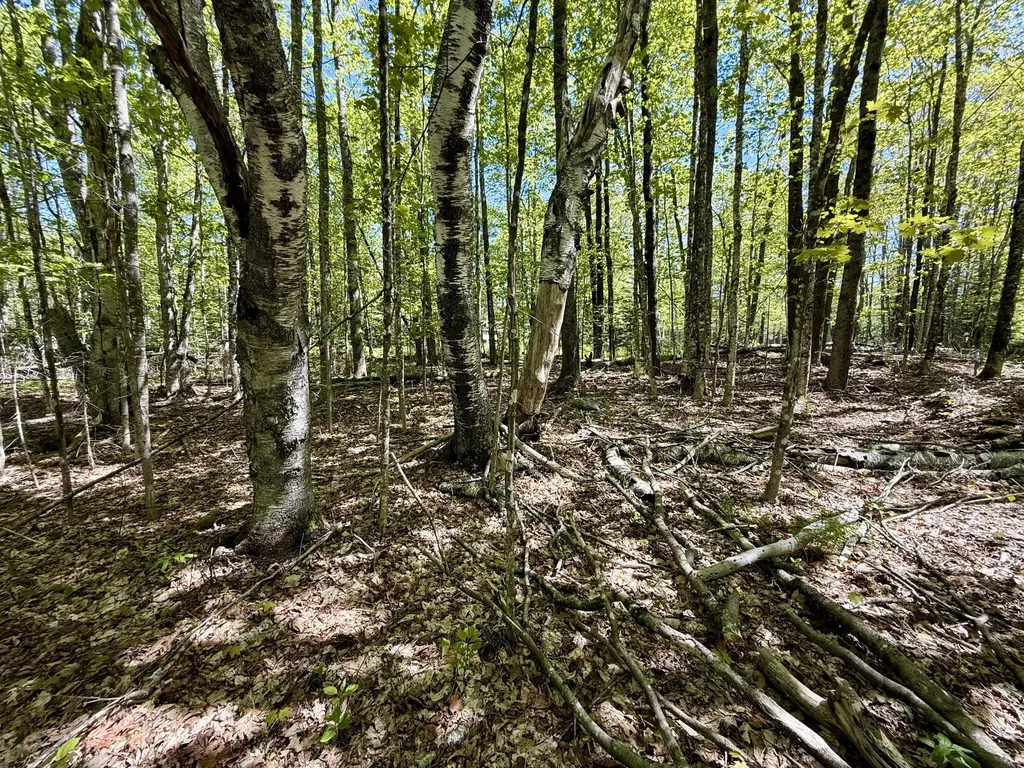 LOT34I Scammon Road Greenville ME 04441