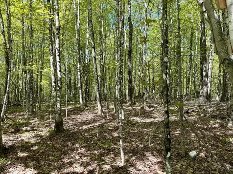 LOT34I Scammon Road Greenville ME 04441
