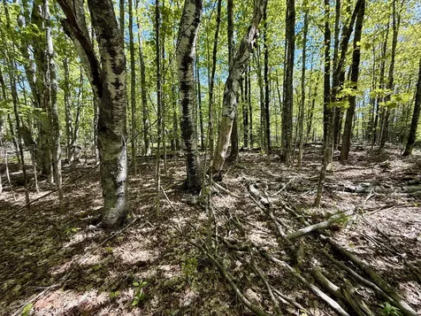 LOT34I Scammon Road Greenville ME 04441