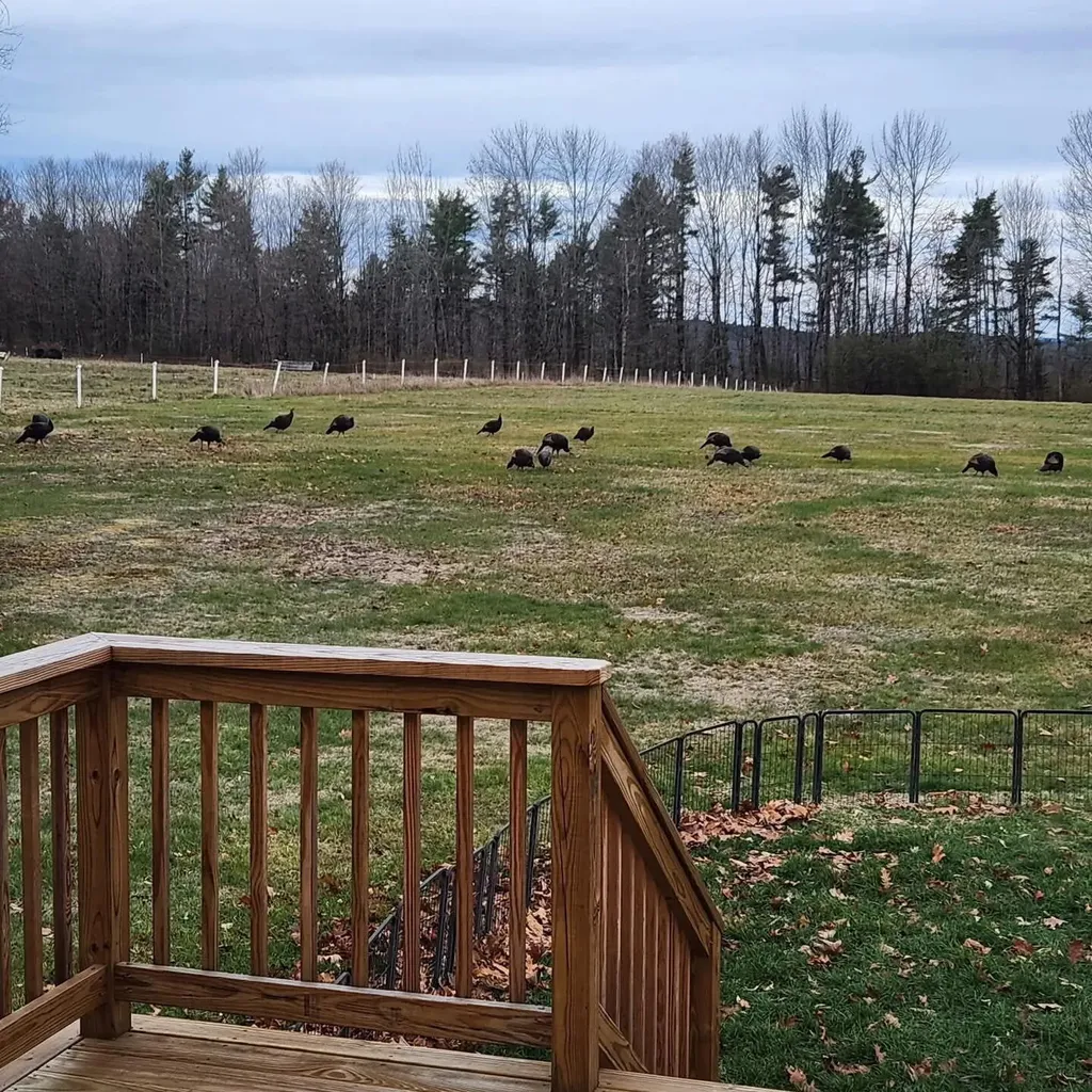 538 Bean Road Otisfield ME 04270
