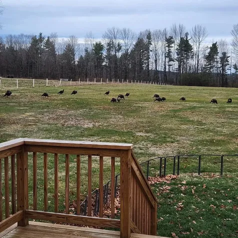 538 Bean Road Otisfield ME 04270