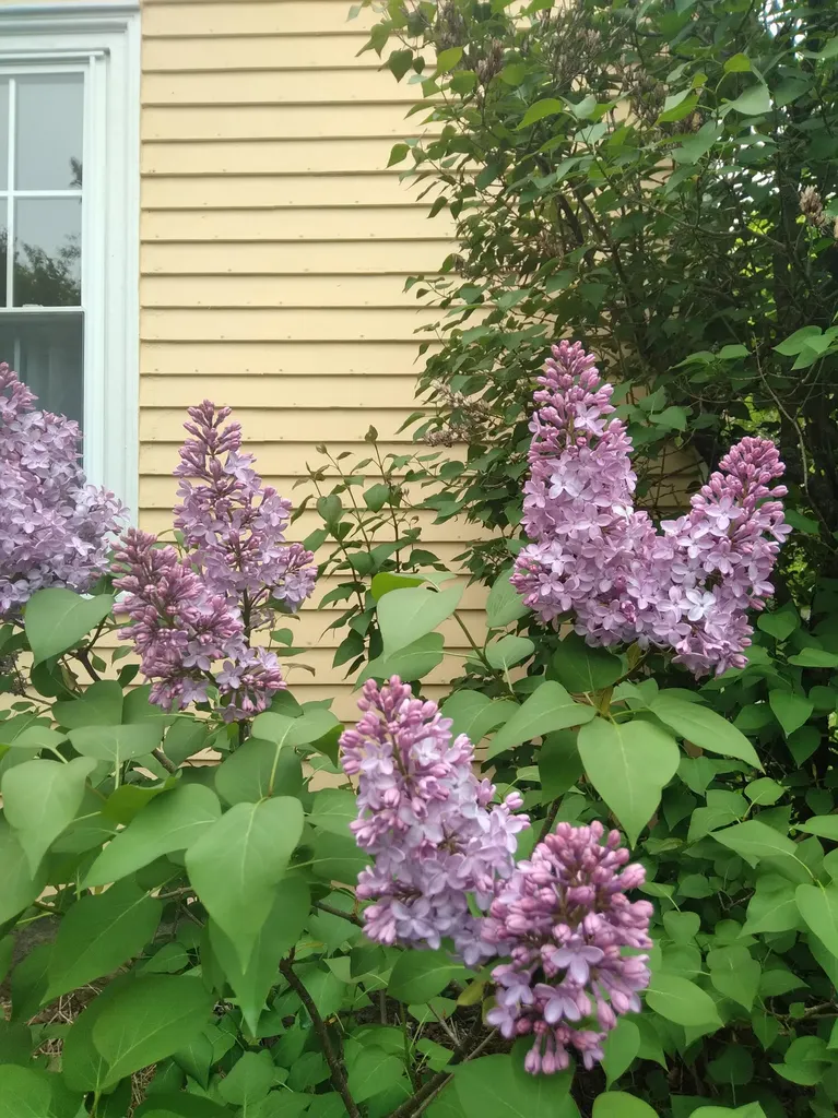 389 Higgins Road Pittsfield ME 04967