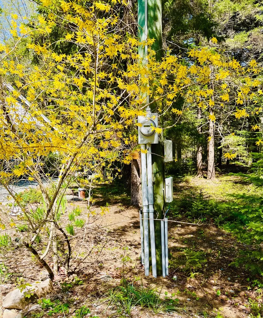 55 Bayview Drive Tremont ME 04612