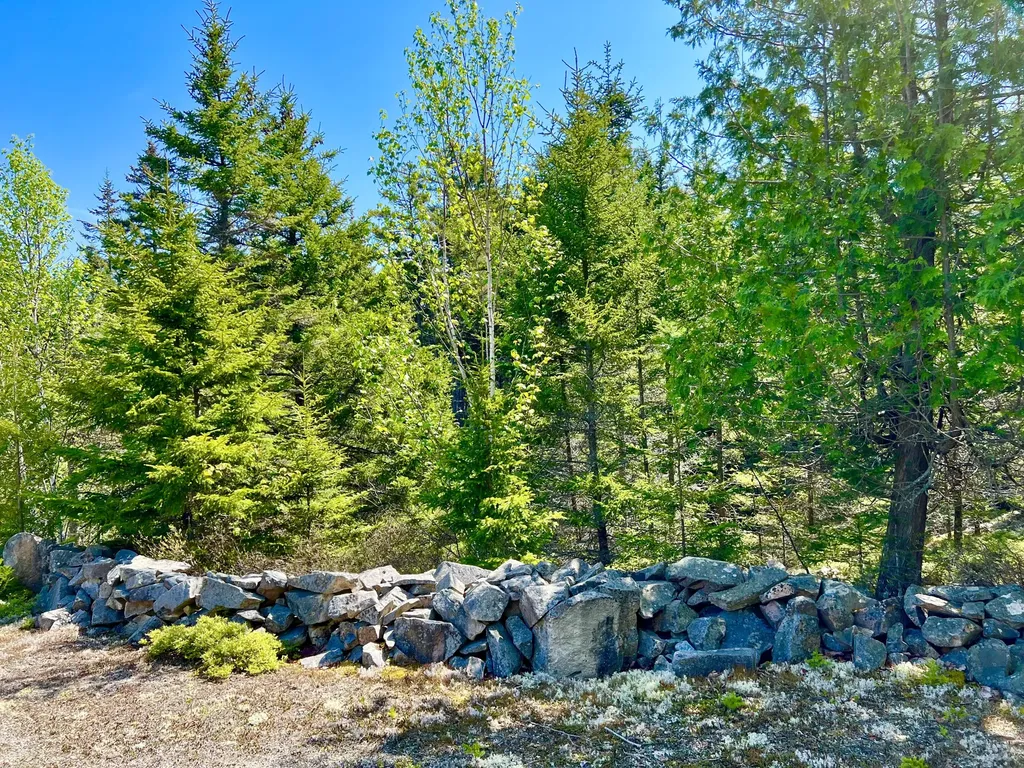 55 Bayview Drive Tremont ME 04612