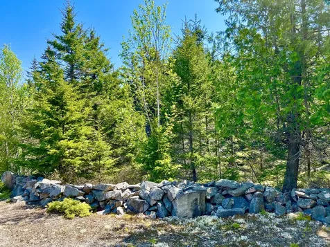 55 Bayview Drive Tremont ME 04612