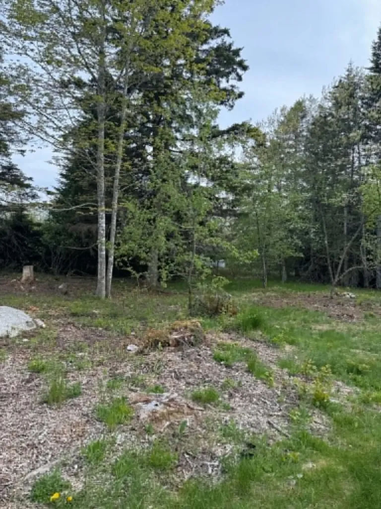 15 Old Mill Stream Road Sullivan ME 04664