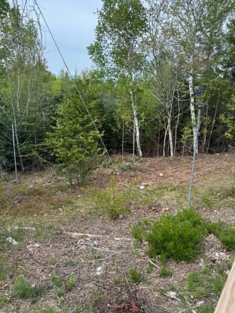 15 Old Mill Stream Road Sullivan ME 04664