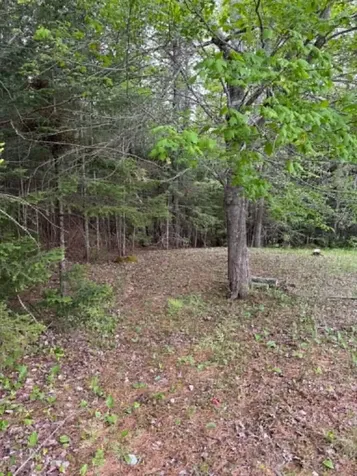 15 Old Mill Stream Road Sullivan ME 04664