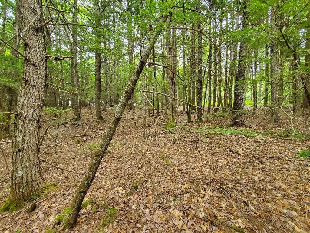 Lot 7 Heath Road Mariaville ME 04605