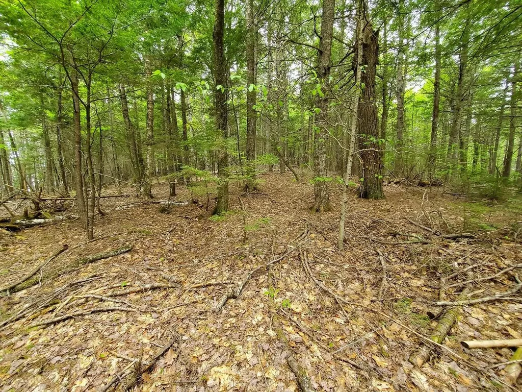 Lot 7 Heath Road Mariaville ME 04605