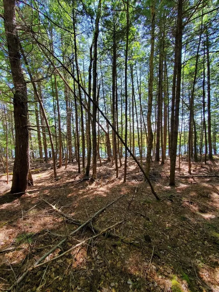 Lot 7 Heath Road Mariaville ME 04605