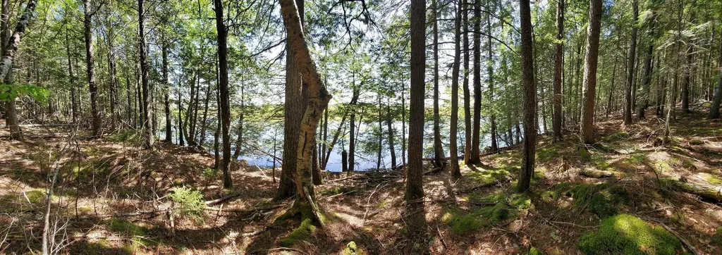 Lot 7 Heath Road Mariaville ME 04605