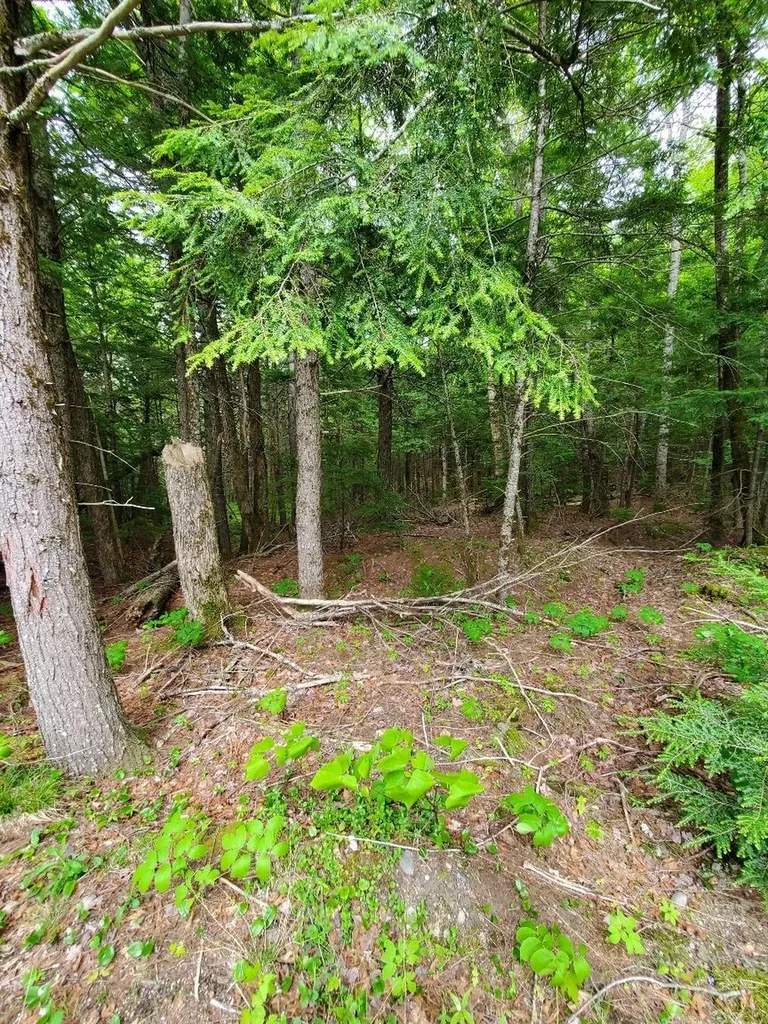Lot 7 Heath Road Mariaville ME 04605