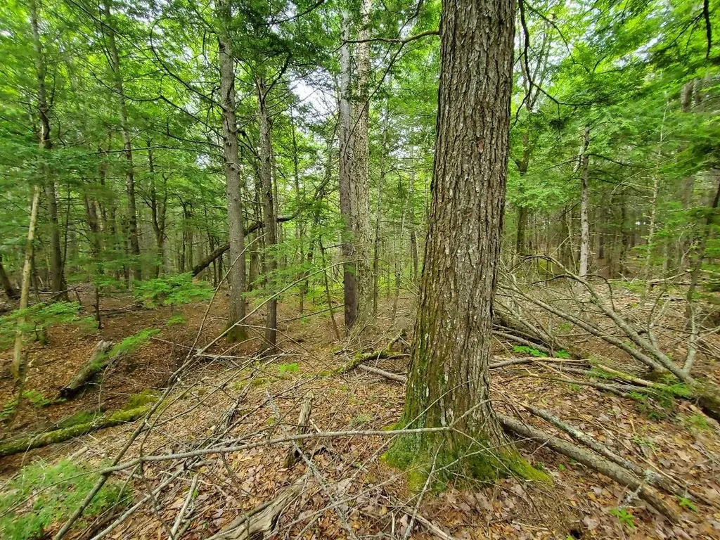 Lot 7 Heath Road Mariaville ME 04605