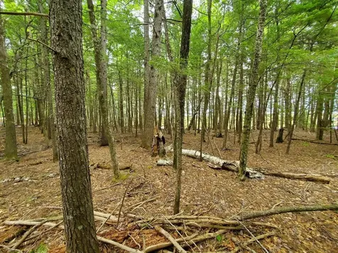 Lot 7 Heath Road Mariaville ME 04605