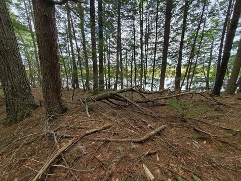 Lot 7 Heath Road Mariaville ME 04605