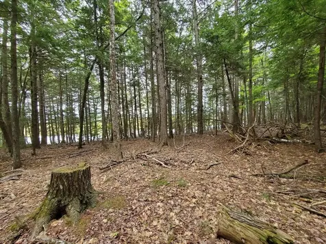 Lot 7 Heath Road Mariaville ME 04605