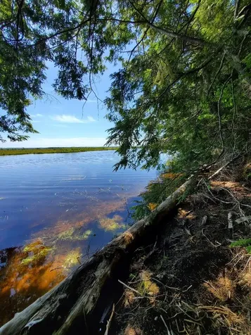 Lot 7 Heath Road Mariaville ME 04605