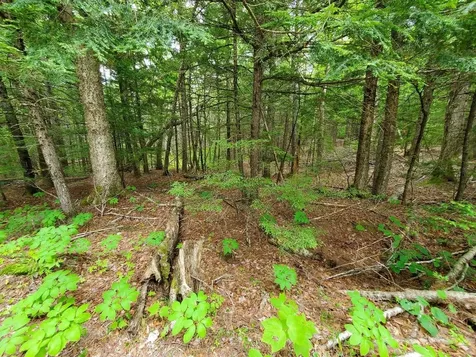Lot 7 Heath Road Mariaville ME 04605
