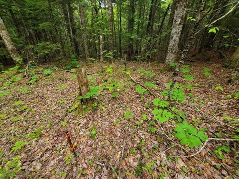 Lot 7 Heath Road Mariaville ME 04605