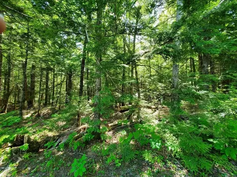 Lot 7 Heath Road Mariaville ME 04605